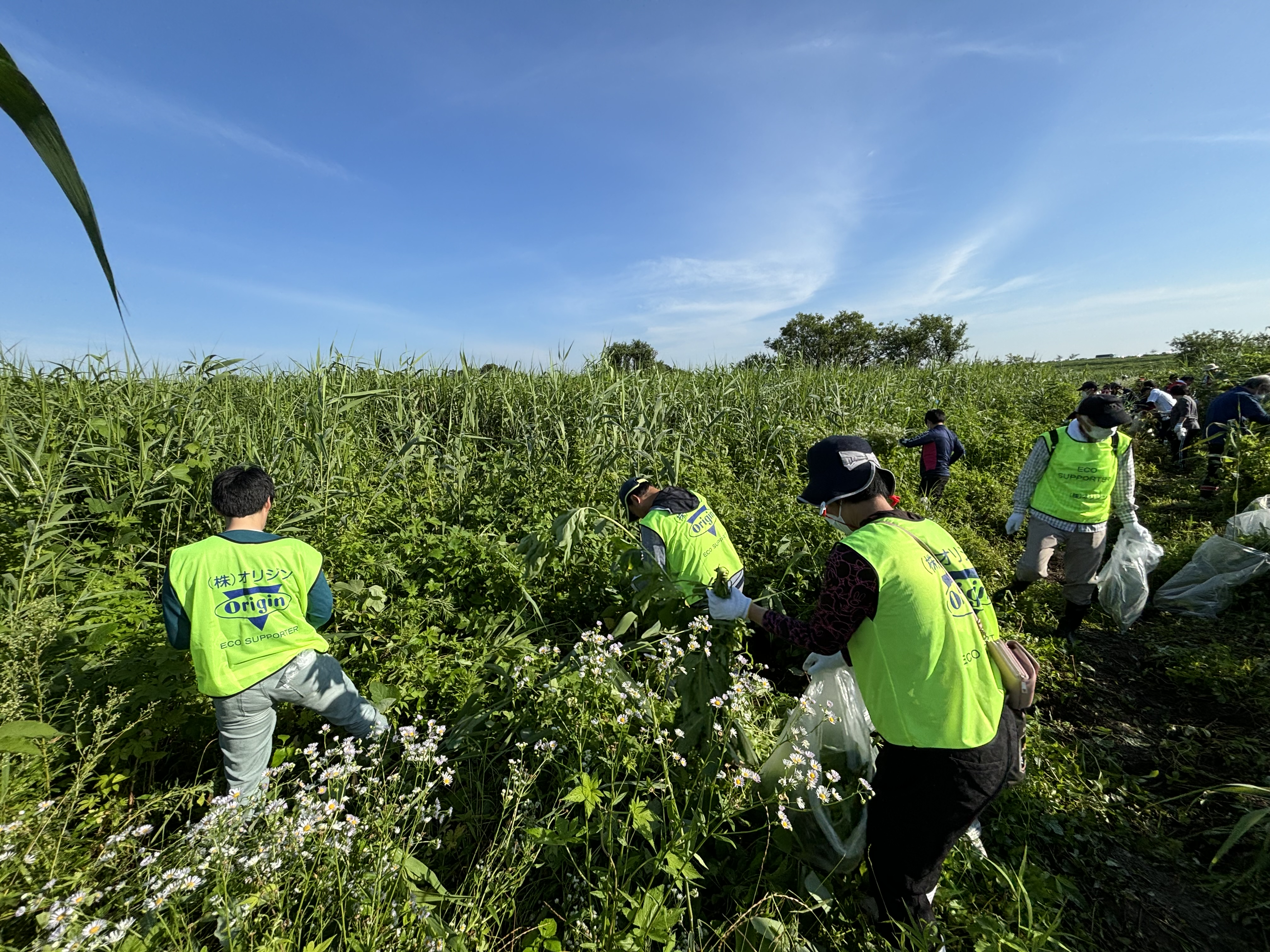 間々田工場】渡良瀬遊水地ヤナギ・セイタカアワダチソウ除去作戦に参加